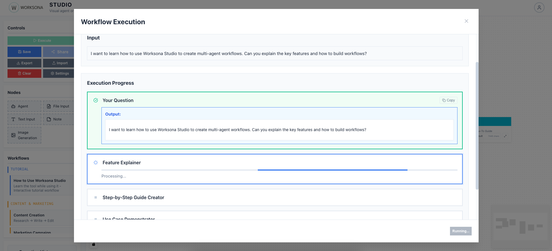 Workflow Execution View